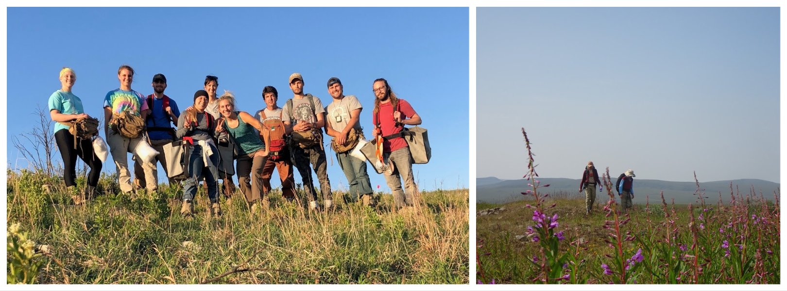 Seasonal fieldwork banner