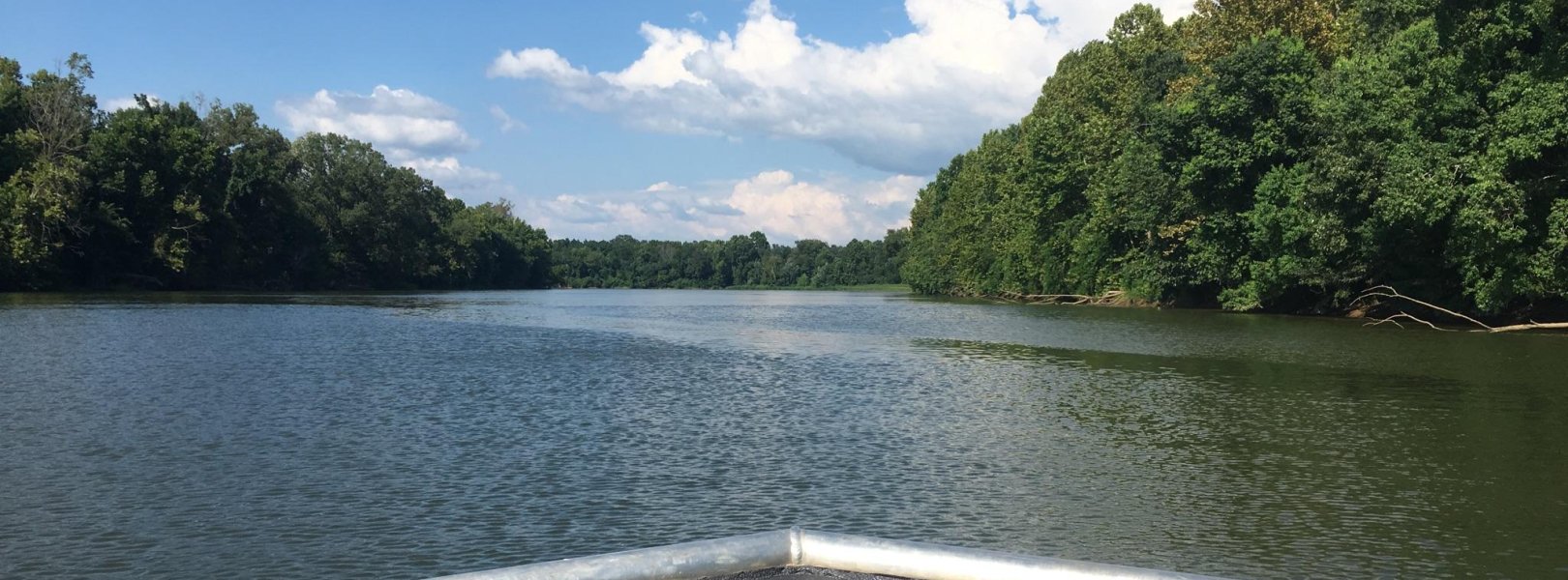 Middle of reach the Lower Tombigbee River at Choctaw Refuge (TOMB) in Alabama