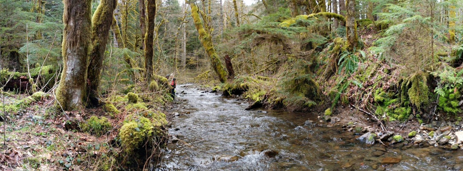  Martha Creek (MART) aquatic site in Washington