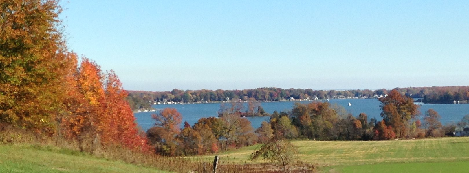 Landscape at the SERC field site