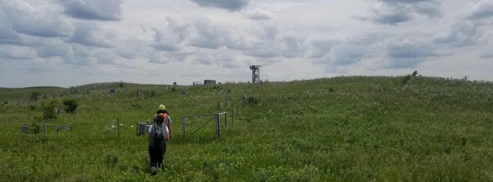 Field technicians walking towards tower