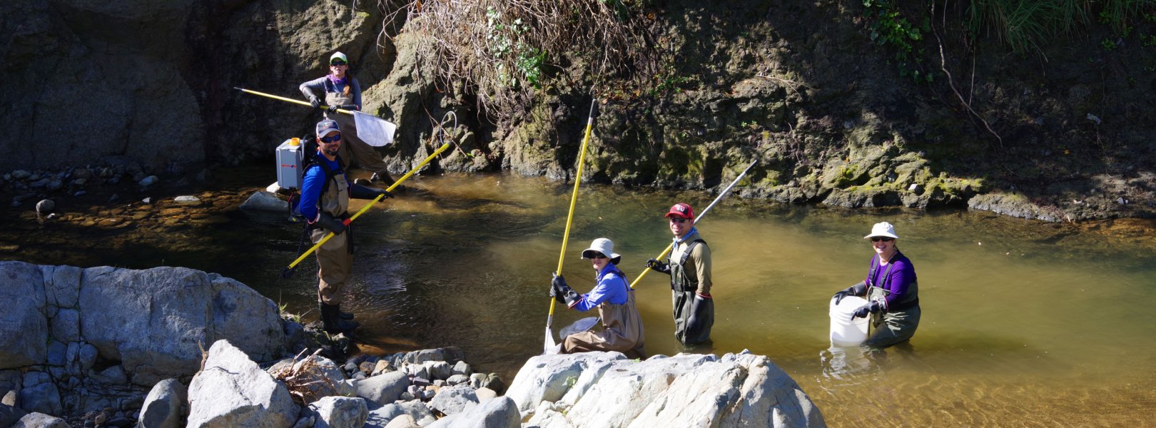 Fish sampling at GUIL