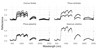 Image of spectra for four different species of plants observed at NEON sites, extracted with the neonhs package. 