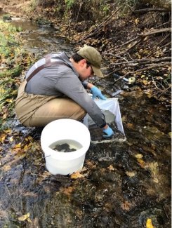 Macroinvertebrate Sampling Methods: Unveiling the Secrets of Aquatic Ecosystems