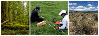 Photos from left to right: Wind River Experimental Forest field site; Field ecologists conducting herbaceous clip harvest sampling at the Lajas Experimental Station field site; Onaqui field site.