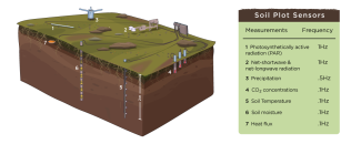 NEON Soil Plot Spatial Layout