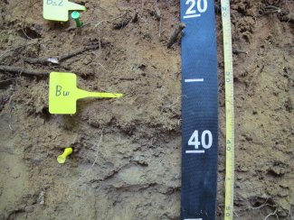 soil profile