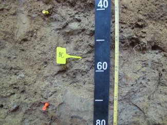 soil profile