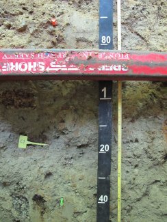 soil profile