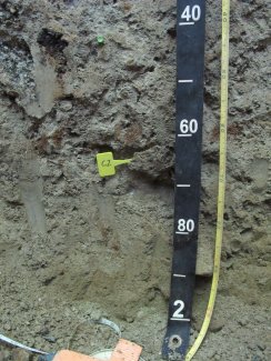 soil profile