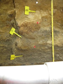 soil profile