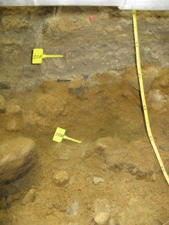 soil profile