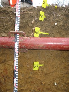 soil profile