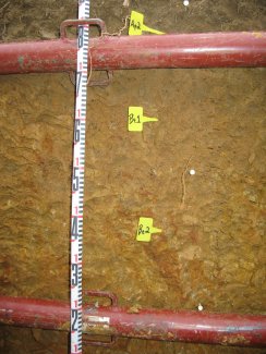 soil profile