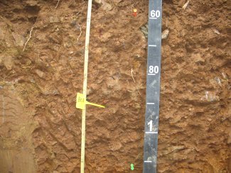 soil profile