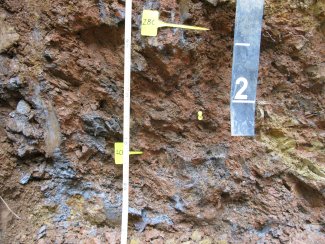 soil profile