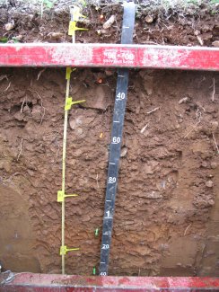 soil profile