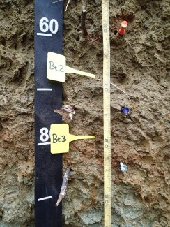 soil profile