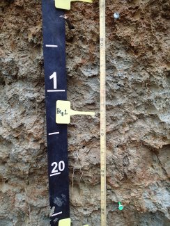 soil profile