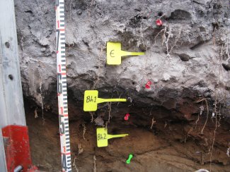 soil profile