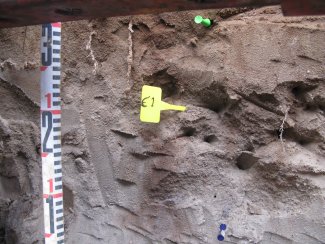 soil profile