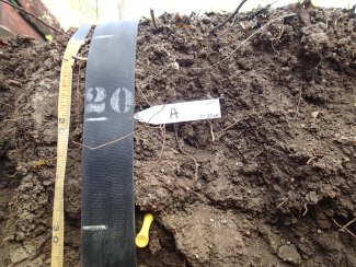 soil profile