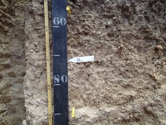 soil profile