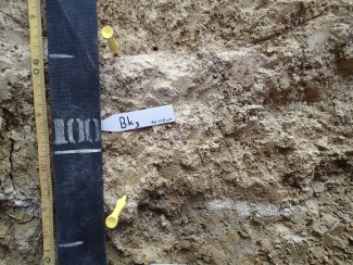 soil profile