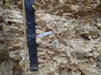 soil profile