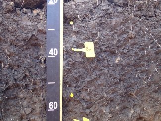 soil profile