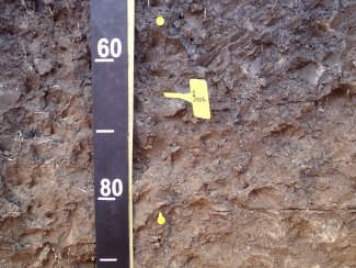 soil profile