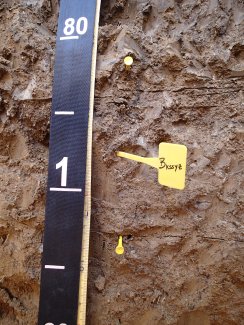 soil profile