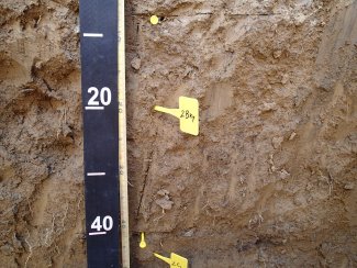 soil profile