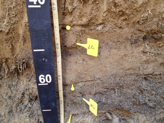 soil profile