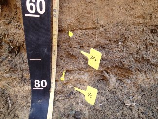 soil profile