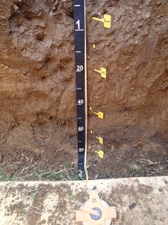 soil profile