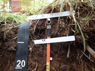 soil profile