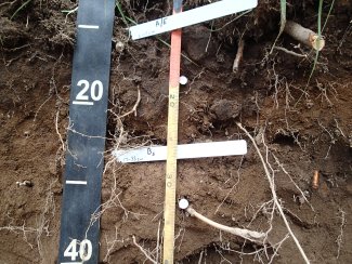 soil profile