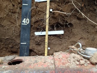 soil profile