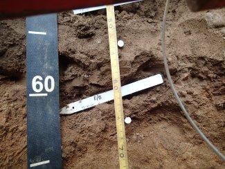 soil profile