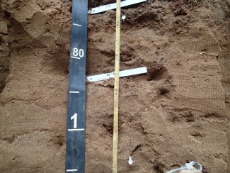 soil profile