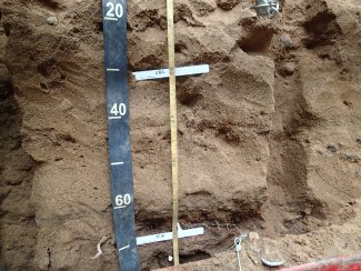 soil profile