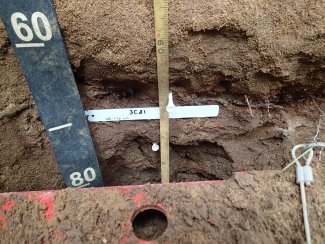 soil profile