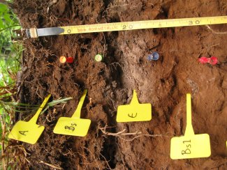 soil profile