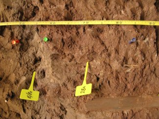 soil profile