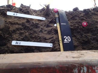 soil profile