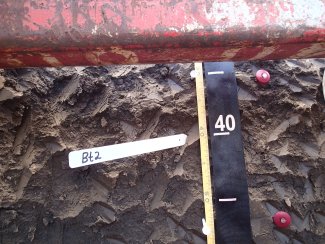 soil profile