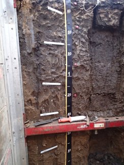 soil profile