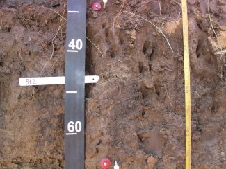 soil profile