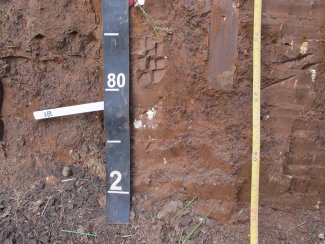 soil profile